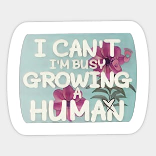 I Can't I'm Busy Growing A Human Sticker